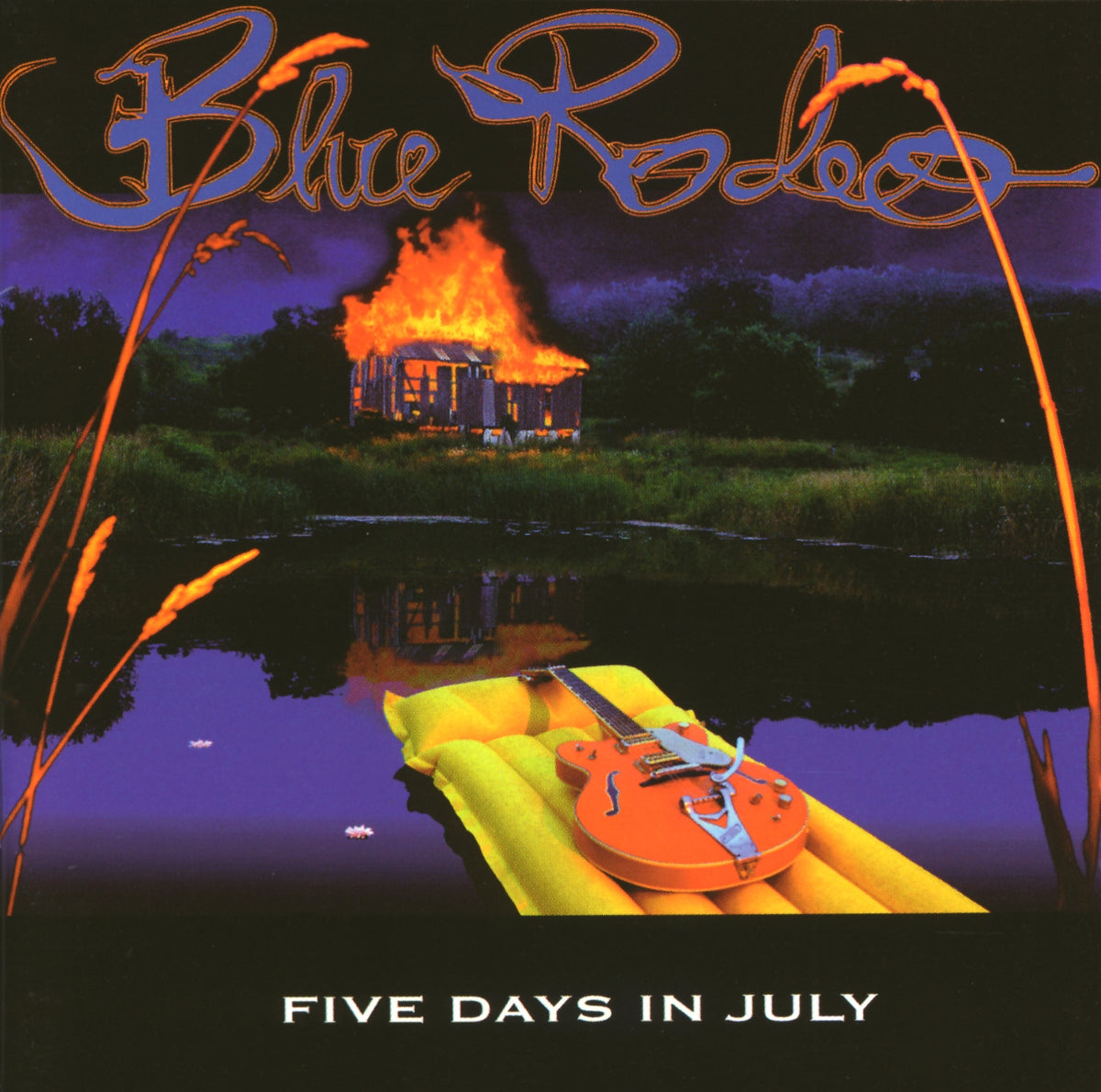 Blue Rodeo - Five Days in July LP